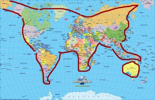 cat world
